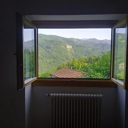 Il Regno Del Marrone *